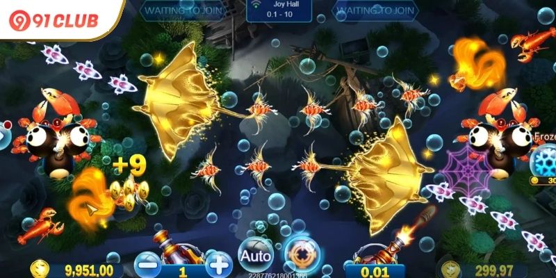 Why-Players-Love-Royal-Fishing