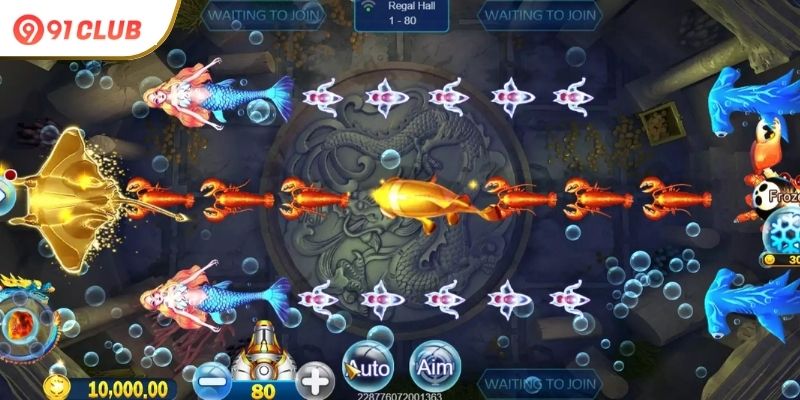 The-Future-of-Royal-Fishing-on-91-Club