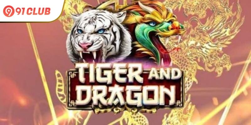 Key-Features-of-Dragon-Tiger-91-Club